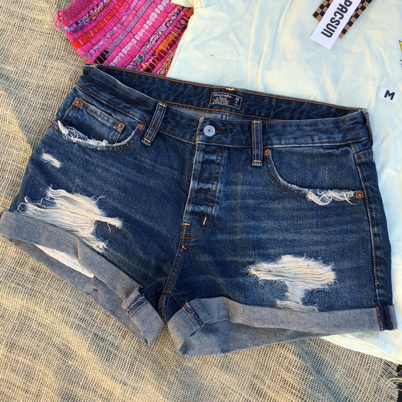 Abercrombie & Fitch Shorts - 28