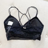 Gilly Hicks Black Lace Padded Bralette XS