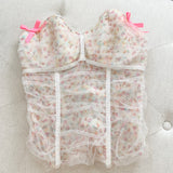 Victoria's Secret Ribbon & Tool Corset Top NWT 36C