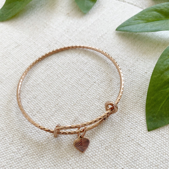 Alex & Ani Silver Bangle Bracelet