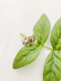 Sterling Silver .925 Flower Ring size 7.5