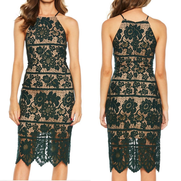 Bardot Mila Halter Lace Forest Green Dress NWT 10