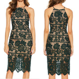 Bardot Mila Halter Lace Forest Green Dress NWT 10