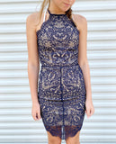 Charlotte Russe Navy Lace Dress xs