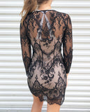 Express Lace Sequin Dress 0