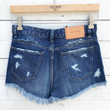 Zara High Waisted Shorts - 02